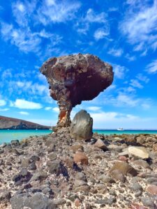 TOUR BALANDRA LA PAZ